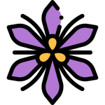 ادویه جات